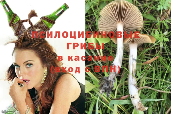 спиды Беломорск