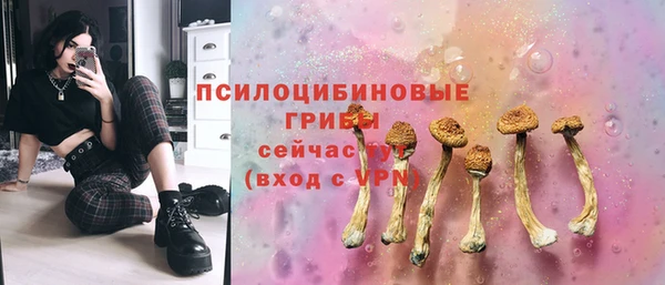 спиды Беломорск