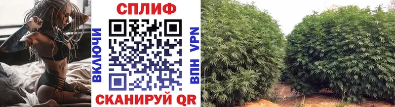 Купить  Омутнинск  МАРИХУАНА гибрид 